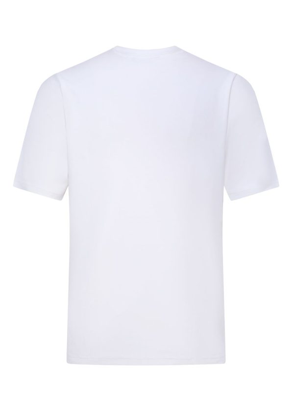 Cotton Modal